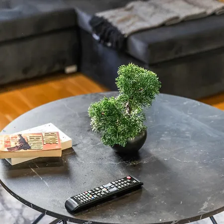 Elegant Flat - Sleeps 8 - Highrise View Centre